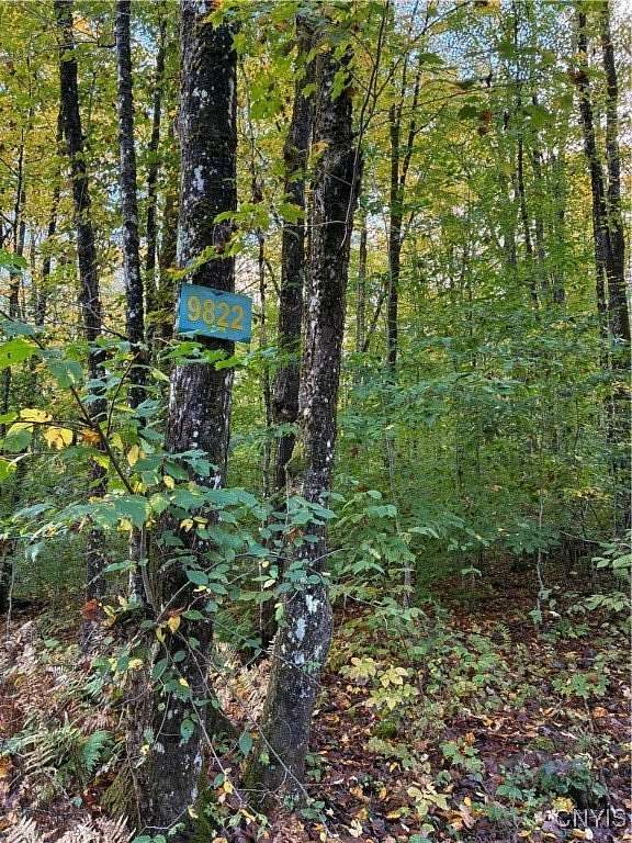5.26 Acres of Residential Land for Sale in Alder Creek, New York