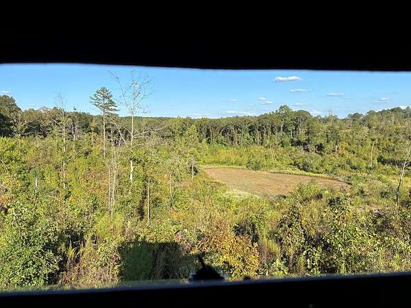 161 Acres of Recreational Land for Sale in Water Valley, Mississippi
