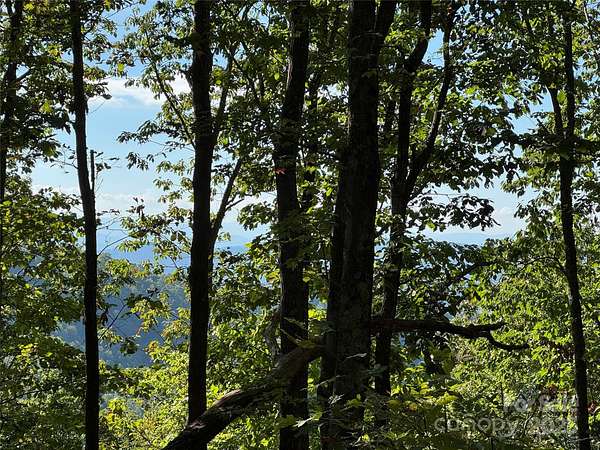 7 Acres of Land for Sale in Swannanoa, North Carolina