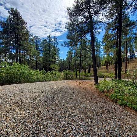 3 Acres of Residential Land for Sale in Bayfield, Colorado