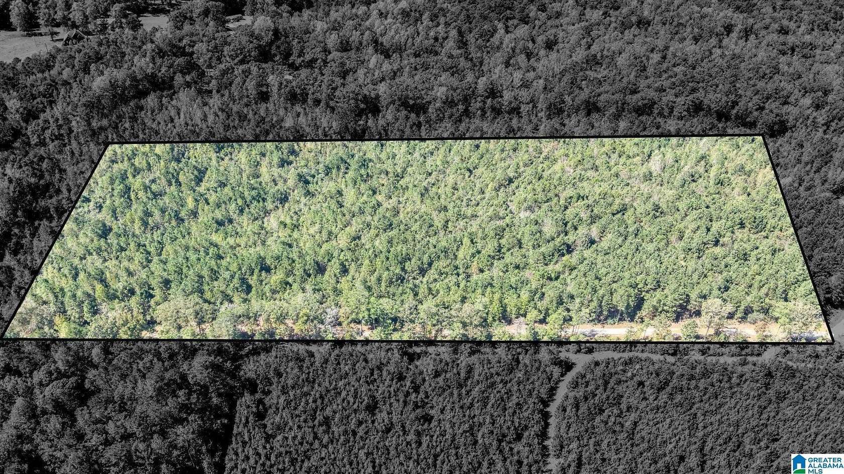 15 Acres of Land for Sale in Clanton, Alabama