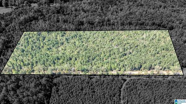 15 Acres of Land for Sale in Clanton, Alabama