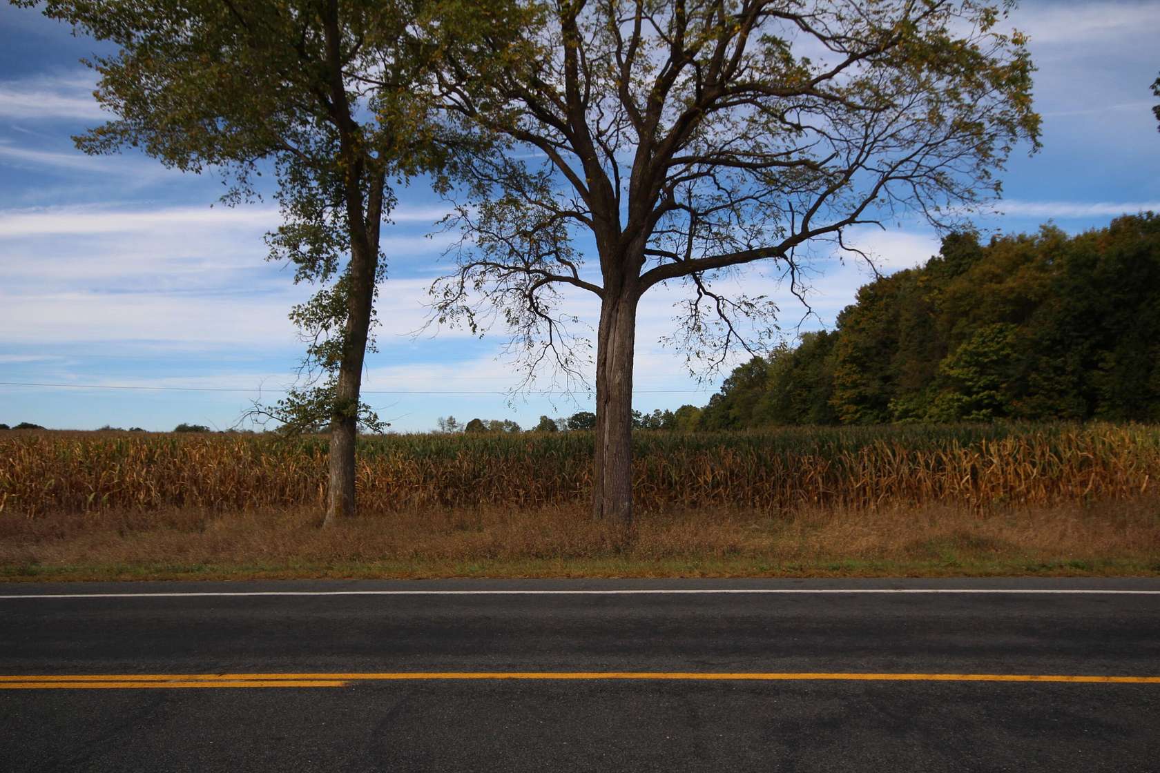 10 Acres of Land for Sale in Vicksburg, Michigan