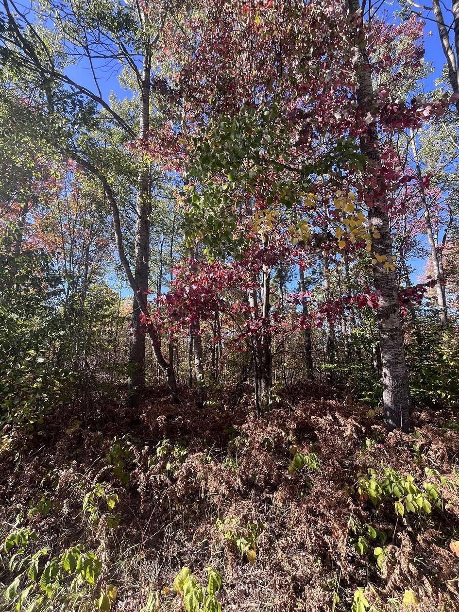 0.86 Acres of Residential Land for Sale in Mancelona, Michigan