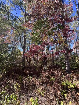 0.86 Acres of Residential Land for Sale in Mancelona, Michigan