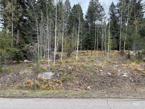 0.42 Acres of Residential Land for Sale in McCall, Idaho