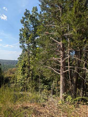 0.87 Acres of Residential Land for Sale in Horseshoe Bend, Arkansas