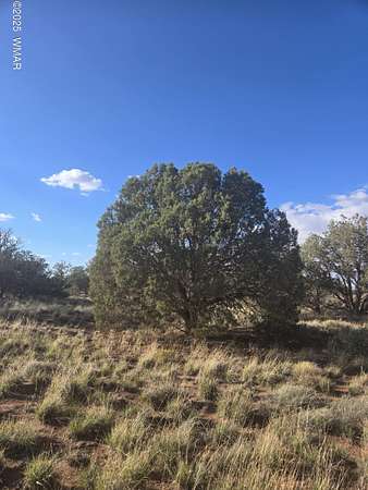1.13 Acres of Land for Sale in Snowflake, Arizona