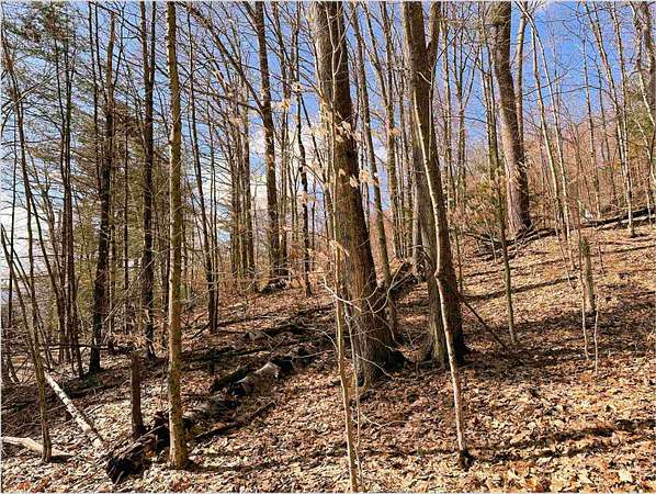 1 Acre of Land for Sale in Campton Town, New Hampshire