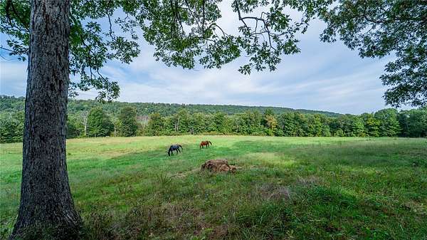 60 Acres of Recreational & Residential Land for Sale in Wesley, Arkansas