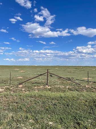 16.6 Acres of Agricultural Land for Sale in Dumas, Texas