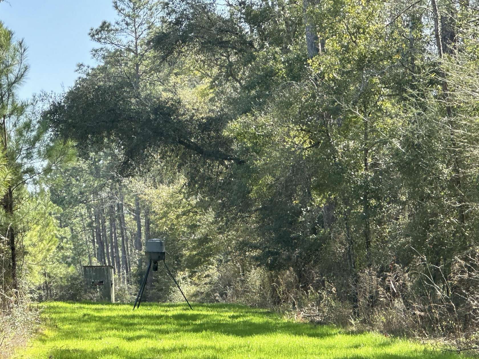 355 Acres of Recreational Land for Sale in Caryville, Florida