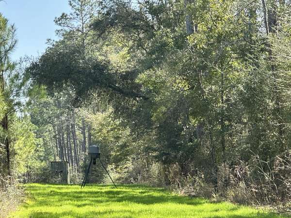 355 Acres of Recreational Land for Sale in Caryville, Florida