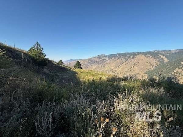 26.2 Acres of Recreational Land for Sale in Pollock, Idaho