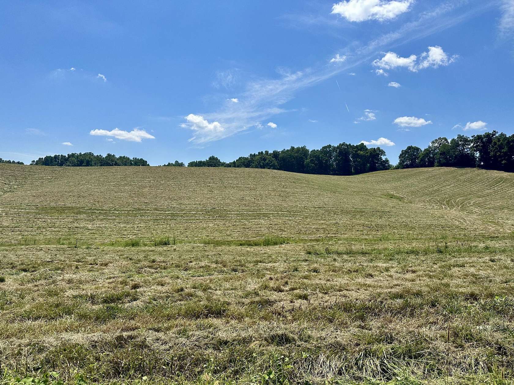 16.2 Acres of Land for Sale in London, Kentucky