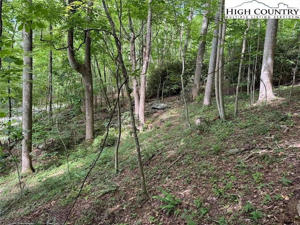 0.59 Acres of Land for Sale in Banner Elk, North Carolina