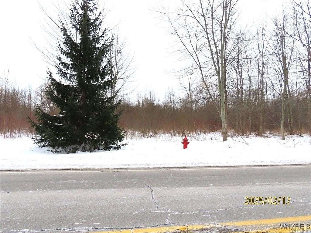 1.5 Acres of Land for Sale in Clarence Center, New York