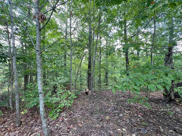 2.26 Acres of Residential Land for Sale in Bean Station, Tennessee