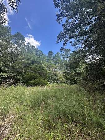 12 Acres of Recreational Land for Sale in Moscow, Tennessee