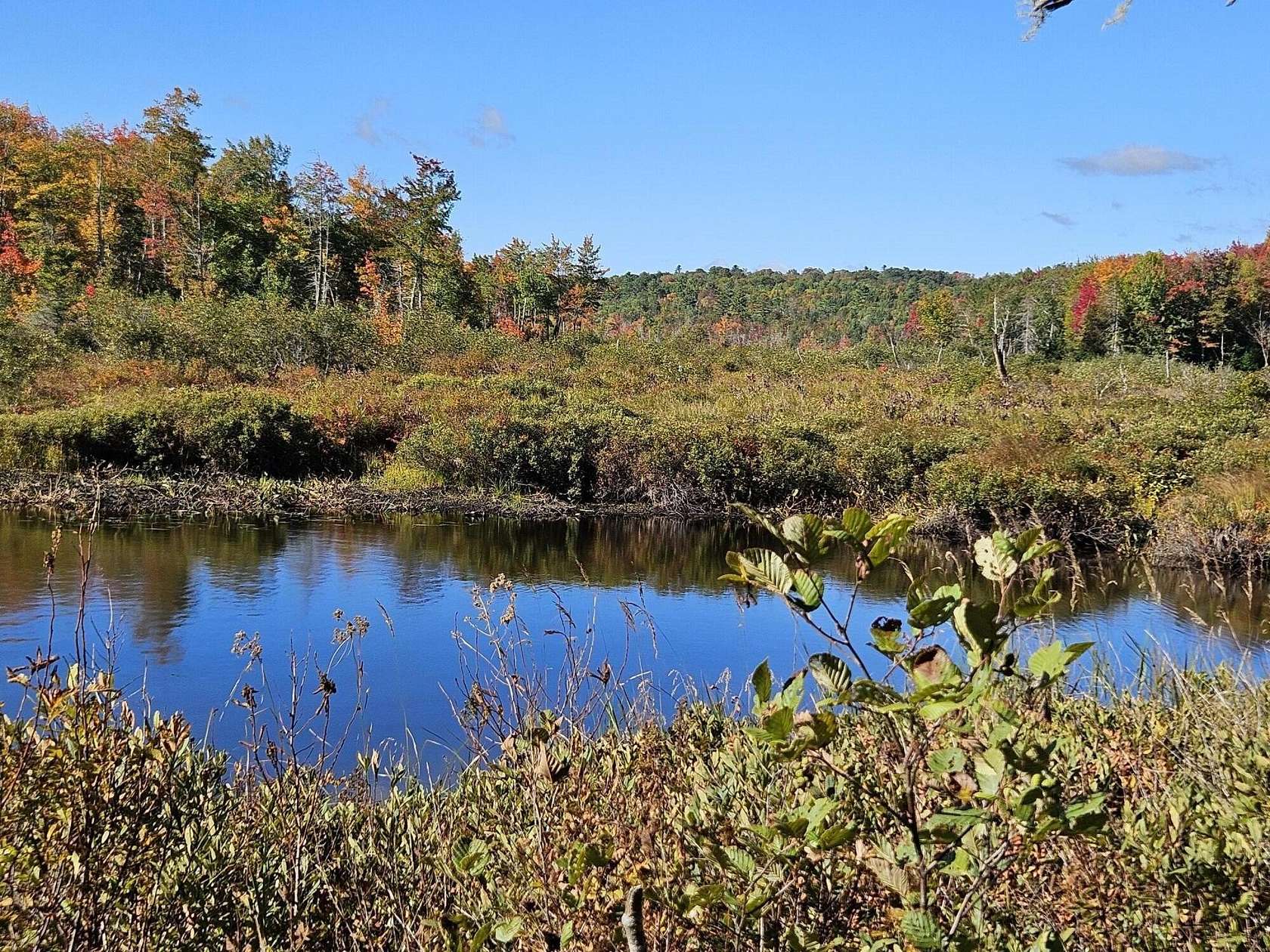 14.5 Acres of Land for Sale in New Vineyard, Maine