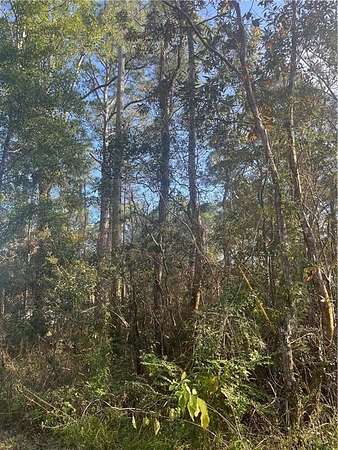 0.12 Acres of Land for Sale in Coden, Alabama