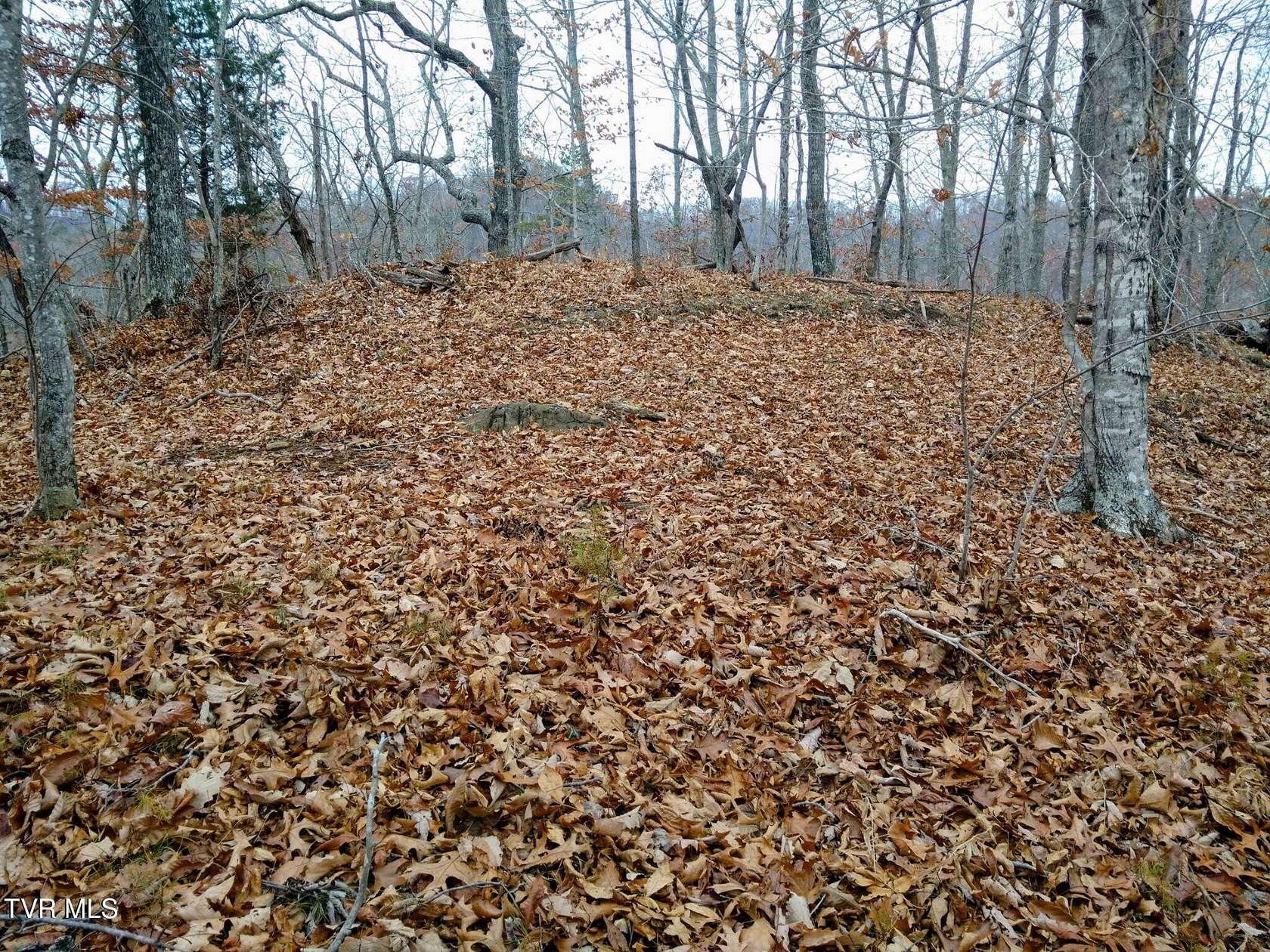 11.6 Acres of Recreational & Residential Land for Sale in Sneedville, Tennessee