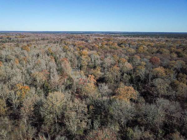 125 Acres of Recreational Land & Farm for Sale in Arkadelphia, Arkansas