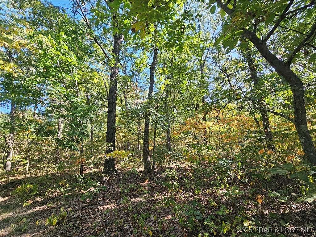 86.6 Acres of Recreational Land for Sale in Stover, Missouri