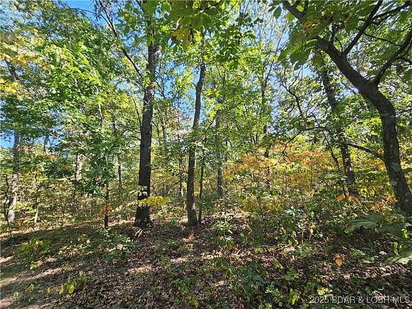 86.6 Acres of Recreational Land for Sale in Stover, Missouri