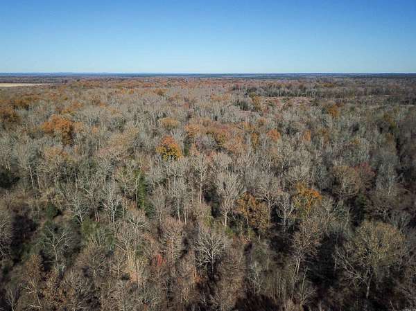 240 Acres of Recreational Land & Farm for Sale in Arkadelphia, Arkansas