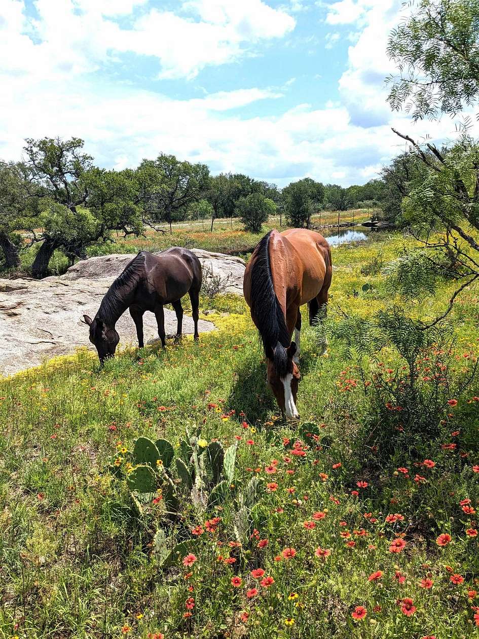 35 Acres of Land for Sale in Llano, Texas