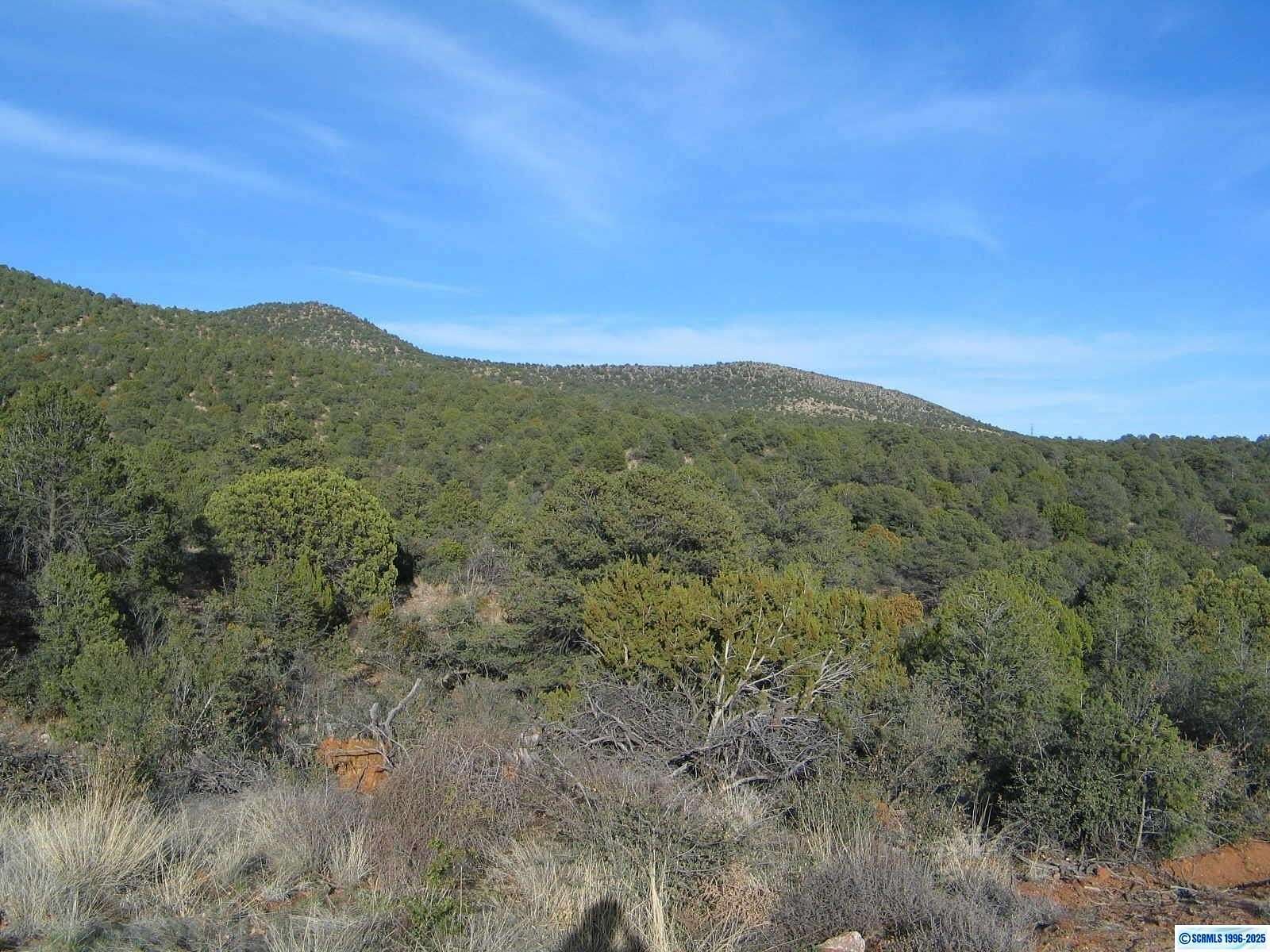 20 Acres of Land for Sale in Silver City, New Mexico