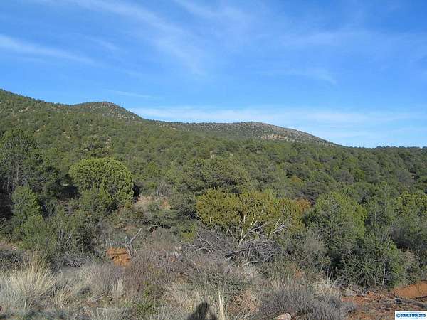 20 Acres of Land for Sale in Silver City, New Mexico
