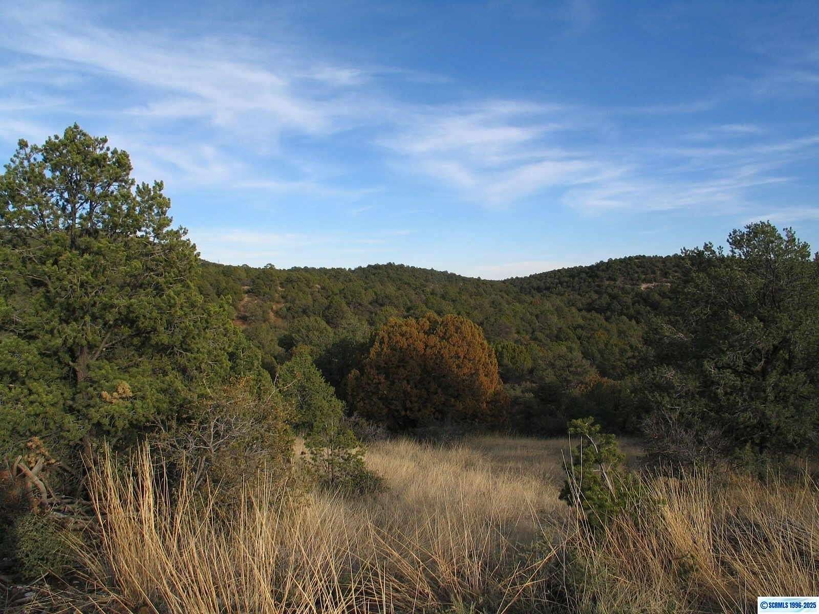 10 Acres of Land for Sale in Silver City, New Mexico