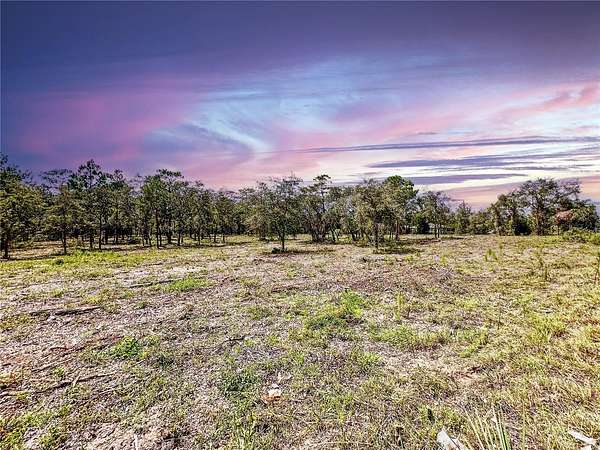 4.9 Acres of Mixed-Use Land for Sale in Brooksville, Florida