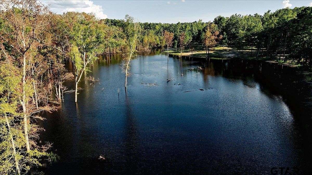 296 Acres of Recreational Land for Sale in Tyler, Texas