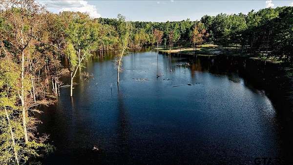 296 Acres of Recreational Land for Sale in Tyler, Texas