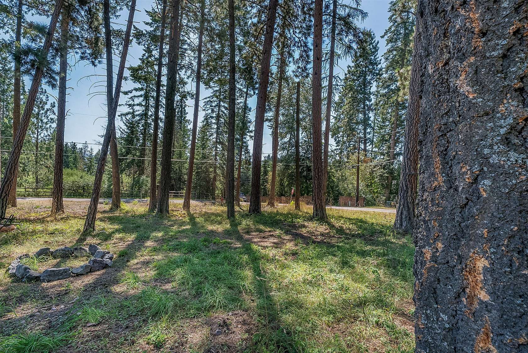 0.38 Acres of Residential Land for Sale in Bigfork, Montana
