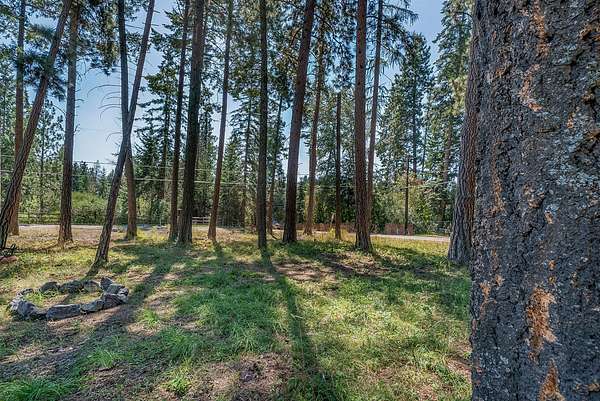0.38 Acres of Residential Land for Sale in Bigfork, Montana