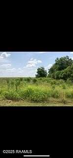 5 Acres of Commercial Land for Sale in Abbeville, Louisiana