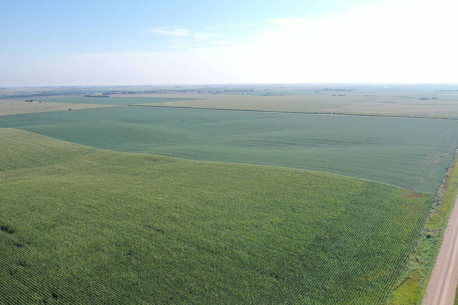 81.6 Acres of Agricultural Land for Sale in Upland, Nebraska