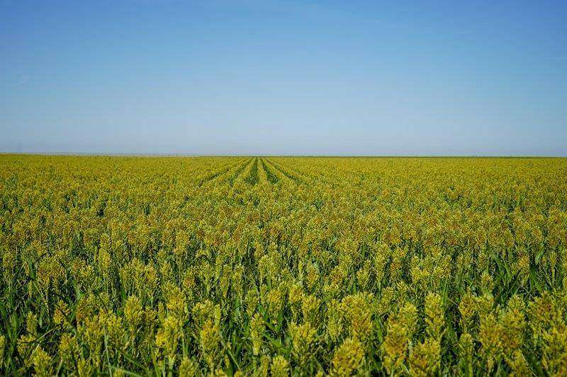 2,960 Acres of Agricultural Land for Sale in Brandon, Colorado