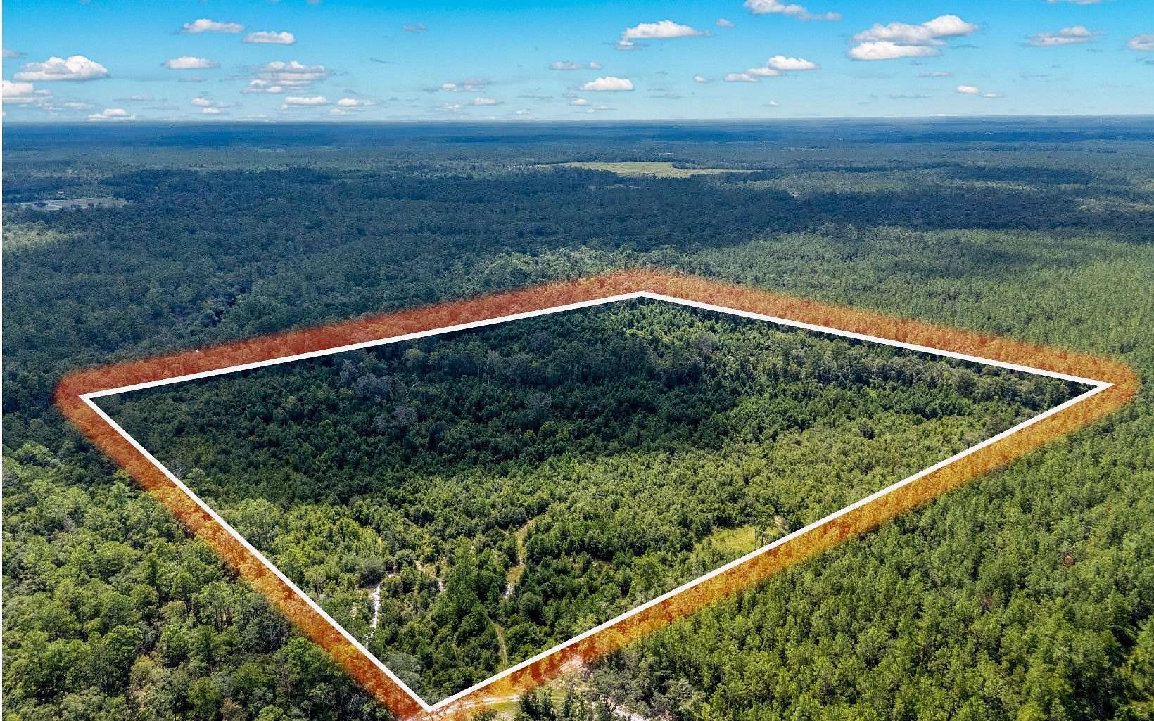 45 Acres of Recreational Land for Sale in White Springs, Florida