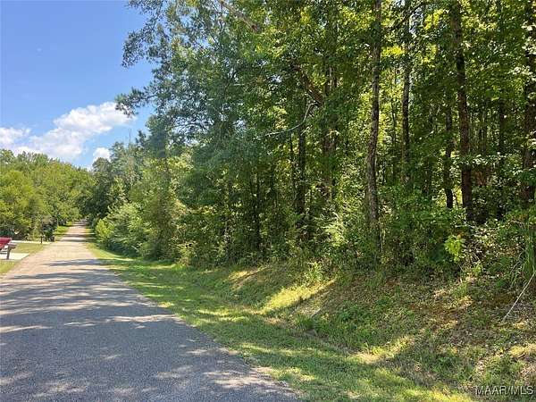 40.4 Acres of Recreational Land for Sale in Clanton, Alabama