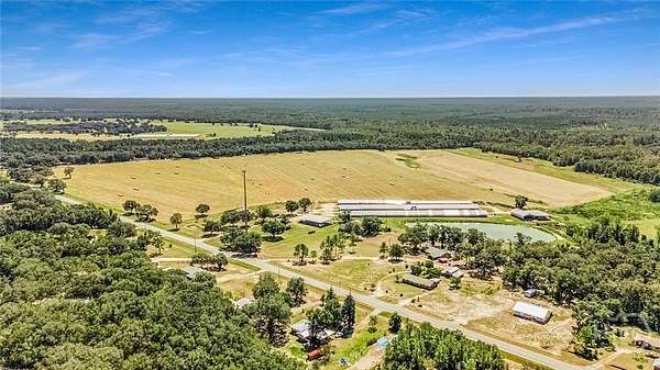 200 Acres of Land for Sale in Reidsville, Georgia