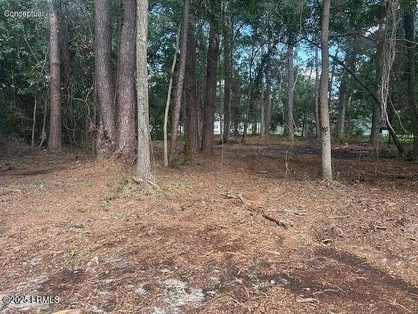 1 Acre of Residential Land for Sale in Beaufort, South Carolina