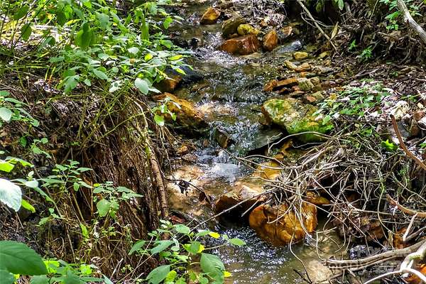 0.99 Acres of Residential Land for Sale in Black Mountain, North Carolina