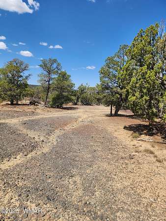 2.57 Acres of Residential Land for Sale in Concho, Arizona