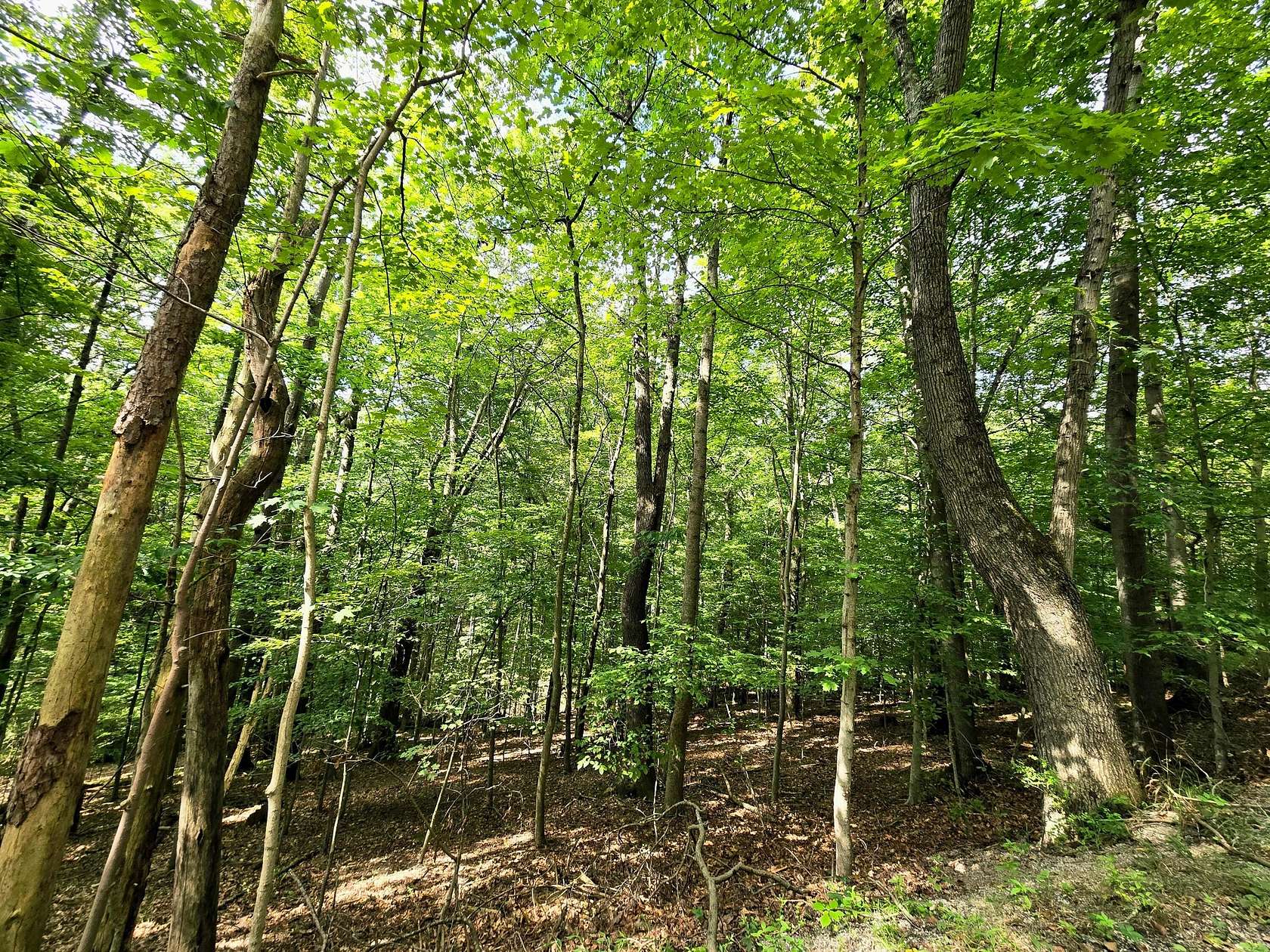 0.53 Acres of Residential Land for Sale in Hide-A-Way Hills, Ohio