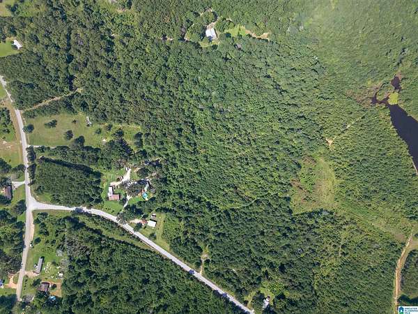 9 Acres of Land for Sale in Piedmont, Alabama